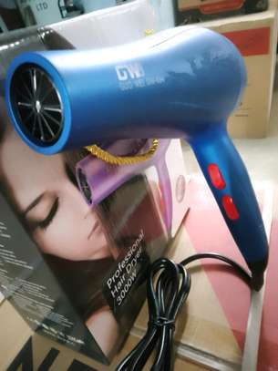Professional Hair dryer image 1
