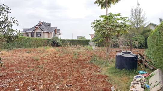 Prime 1/4 acre plot for sale in Daykio Bustani Ruiru image 5