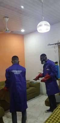 Fumigation and Pest Control Services Upper Hill image 3