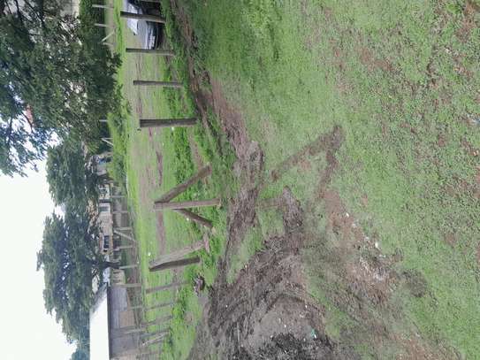 PRIME PLOT IN HOMA BAY TOWN image 4