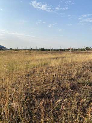 Prime 1/8  Acre Land For Sale in Juja , near Cornerbrook image 3
