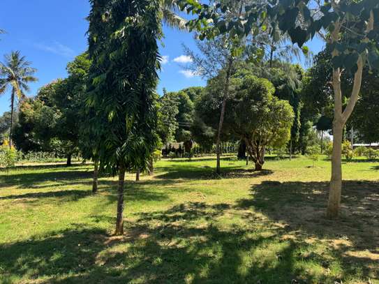 Land in Mtwapa image 3