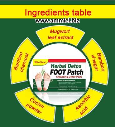 Wins Town Herbal Detox FOOT Patch 30 Pads image 4
