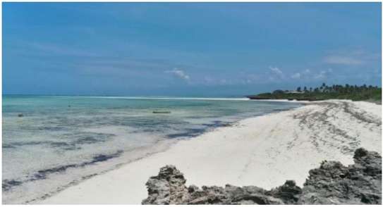 1/4 acres beach plots for sale  - Malindi image 1