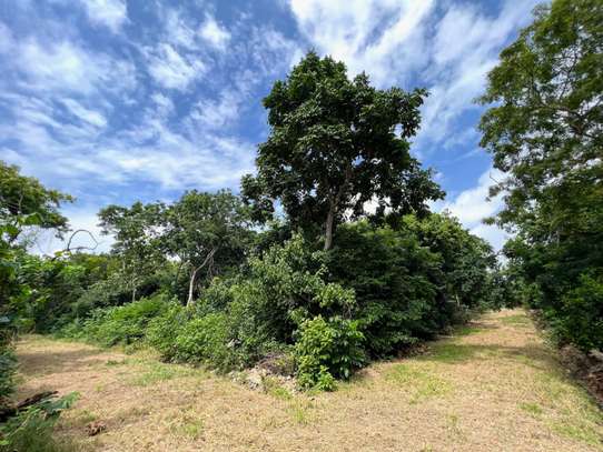 Land in Diani image 3