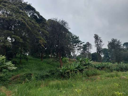 Residential Land at Kitisuru Ridge 44 image 29