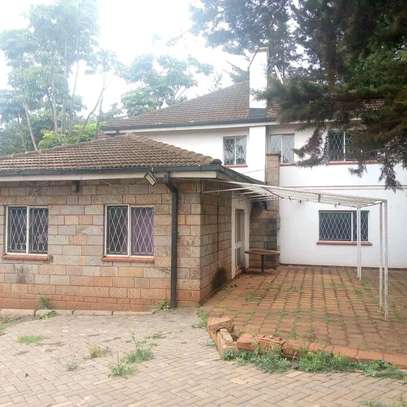 5 BEDROOM COMMERCIAL HOUSE TO LET IN WESTLANDS image 4