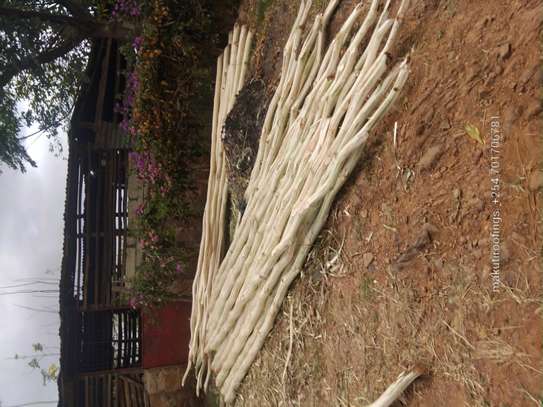 We supply Sisalpoles image 4