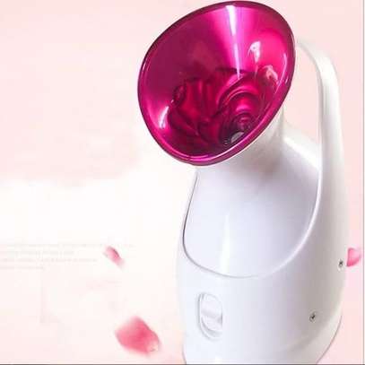 Electric Portable Beauty Nano Ionic Humidify Facial Steamer image 4