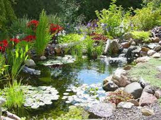 Water feature installation/Pond Installation/Pond Cleaning image 5