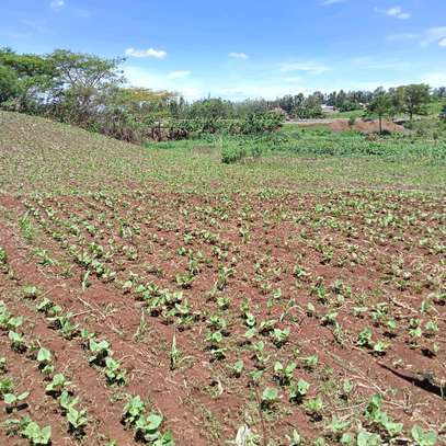 40X80ft PLOT FOR SALE AT KENOL. 100MTRS FROM HIGHWAY image 3