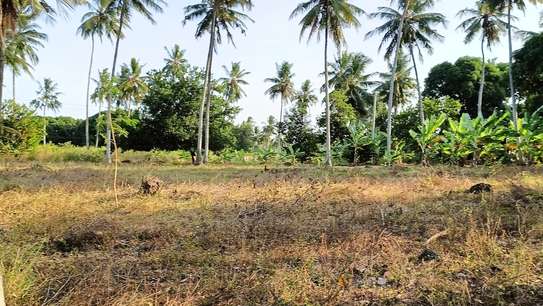 15 ac Land at Bomani image 14