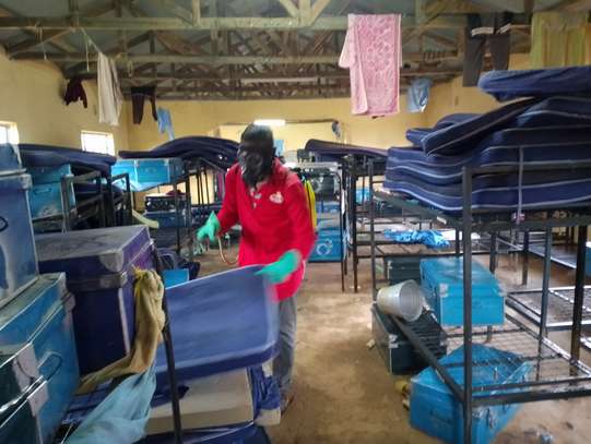 Bed Bugs Fumigation services in Schools image 2