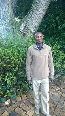 Fumigation And pest Control Services In Kayole image 2