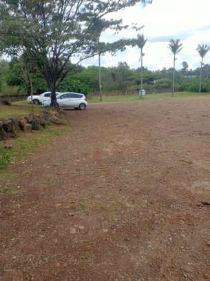 Land in Karen image 1