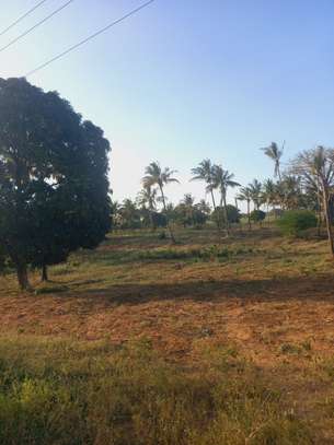Land at Mavueni Kaloleni Road image 1