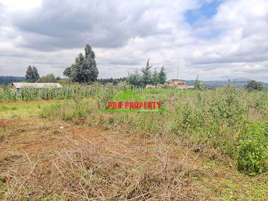 0.125 ac Residential Land at Migumoini image 5