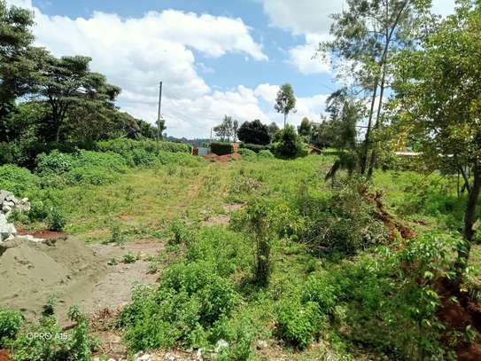 Commercial Land in Banana image 8