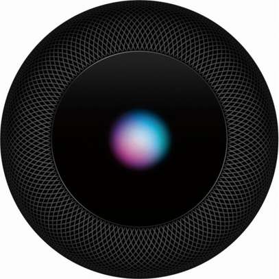 Apple HomePod Smart Speaker Space Gray image 3