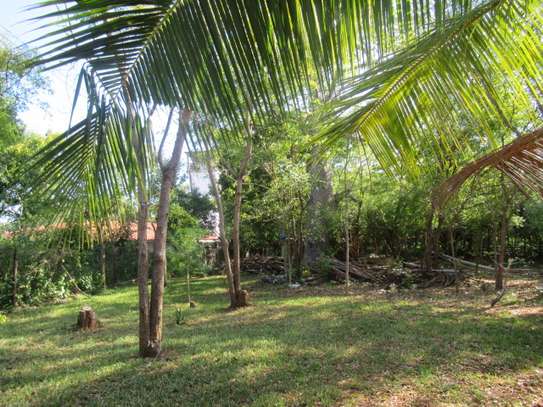1-Acre Plots For Sale in Diani image 7