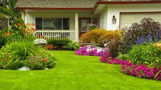 Bestcare Landscaping & Gardening Services in Nakuru,Kenya image 6