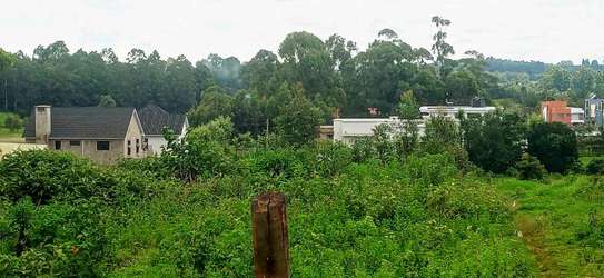 Prime Residential plot for sale in kikuyu, ondiri image 4