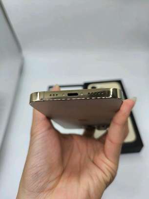 Apple Iphone 13 Pro Max 1Tb Gold image 4
