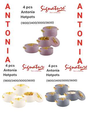 Antonia hot pot set of 4 image 2
