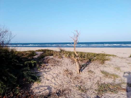 6 Acres beachfront land  for sale in Mambrui,Malindi image 1