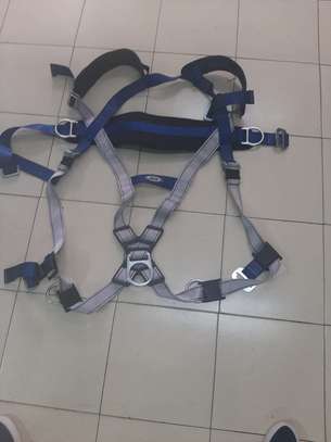 Safety harness and lanyard image 1