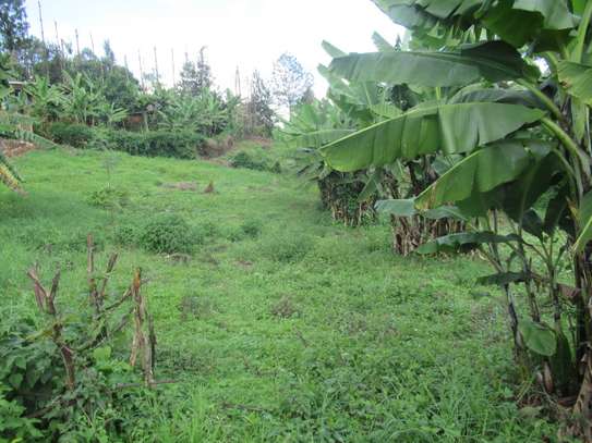 1/4-Acre Plot For Sale in Muthiga image 4