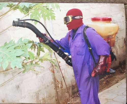 BED BUG Fumigation and Pest Control Services in Kahawa image 1