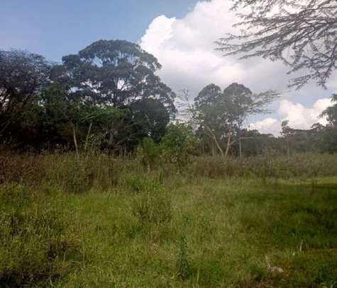 0.5 ac Residential Land in Karen image 2