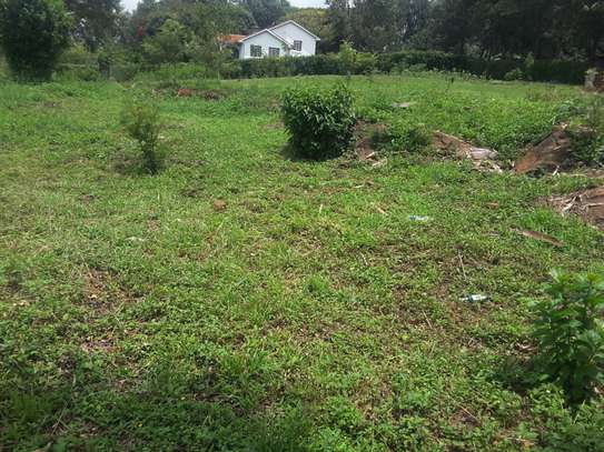 Lovely One Acre in Karen image 6