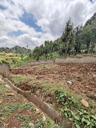 0.125 ac Land in Ruaka image 3