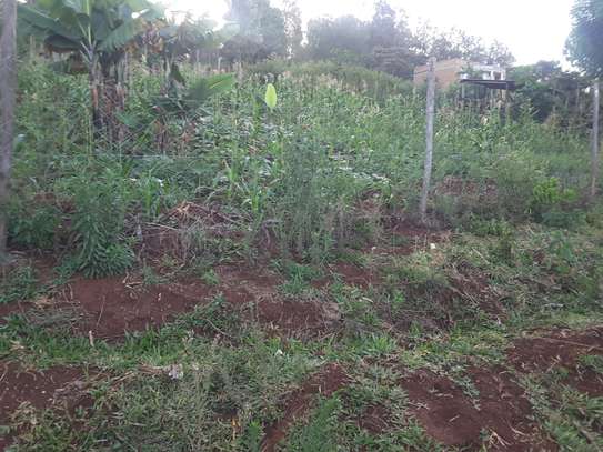 Beautiful one eighth plots in Ngong image 2