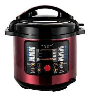 Electric pressure cooker 6ltrs image 1