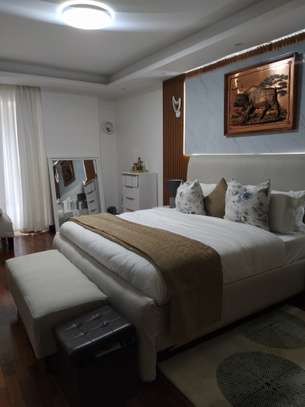 Serviced 3 Bed Apartment with En Suite at Othaya Road image 6