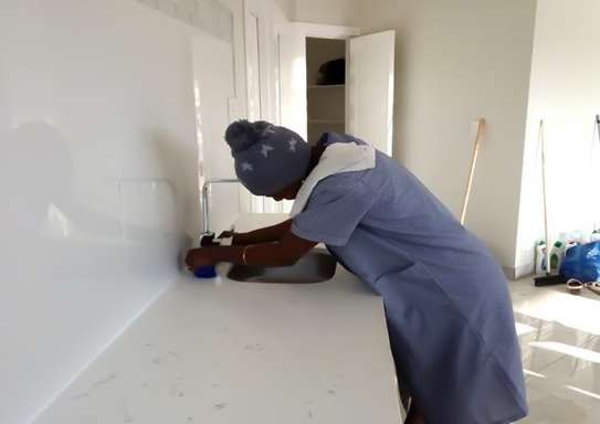 Domestic Staffing Agency-Cleaning & Domestic Services image 3