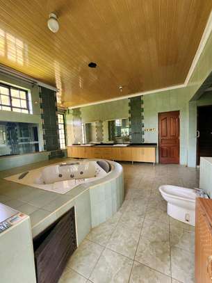8 bedrooms Ambassadorial villas for rent in Karen Nairobi. image 3
