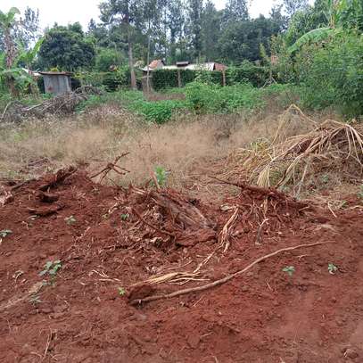 50x100ft plots for sale at Makuyu in Murang'a county image 5