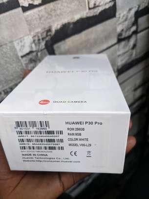 Huawei P30 pro image 1