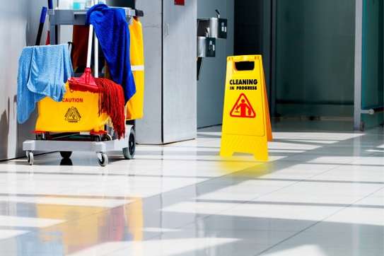 Chef/Cooks, Housekeepers, Gardeners, Drivers & Chauffeurs, Domestic Helpers, Carpet Cleaning ,Curtain Cleaning, Cleaners & Garden Services in Nairobi. image 7