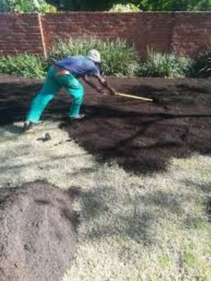 Garden Maintenance Services | Landscaping & Gardening Kenya image 6