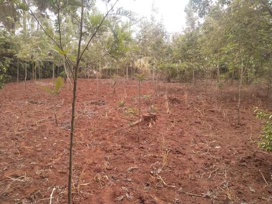 0.25 ac Residential Land in Ngong image 4