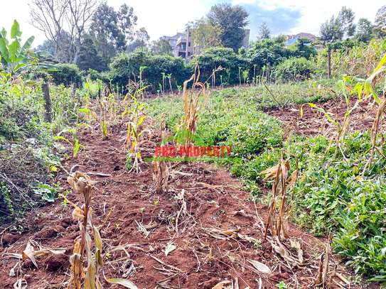 0.05 ha Residential Land at Muthiga image 13