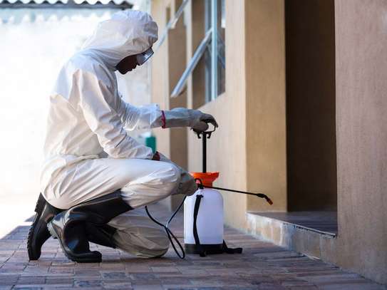 Bed bugs,Cockroahes & Mosquitos Pest Control in Lavington. image 9