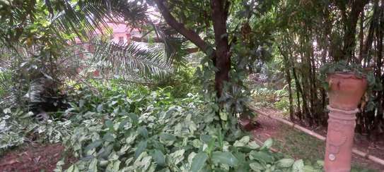 0.65 ac Residential Land at Mbaazi Avenue image 6