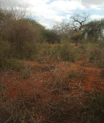 3,000 Acres Is Available For Lease In Kambu Makueni County image 1