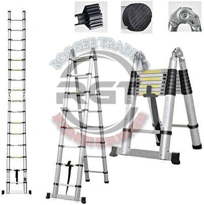 TELESCOPIC LADDER FOR HIRE image 2